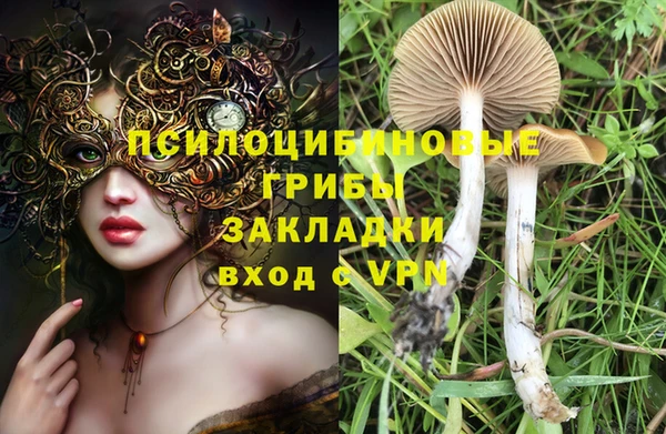 соль ск Бугульма