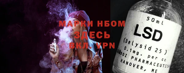 гидра Беслан