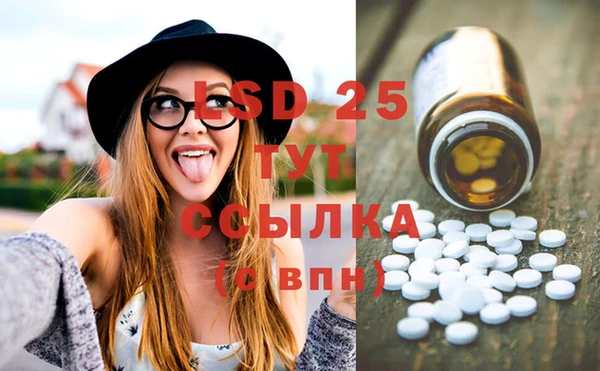 стаф Бородино