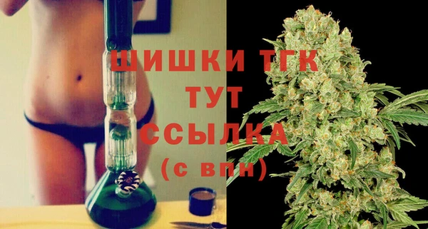 первитин Богданович