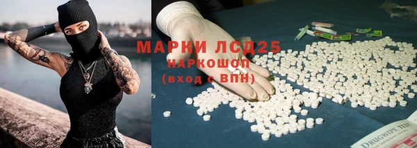 первитин Богданович