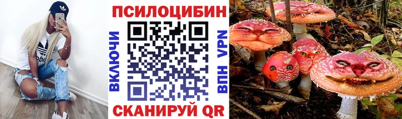 Галлюциногенные грибы Magic Shrooms  kraken ссылки  Богданович  сколько стоит 